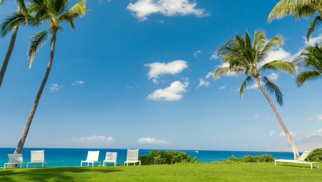 Q2：如何将《集合啦！动物森友会》与 Nintendo Switch Online 应用进行绑定？